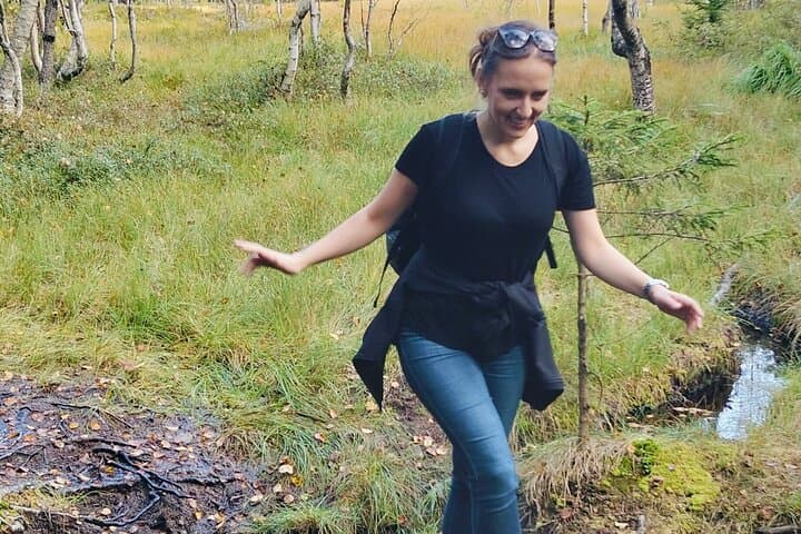 Oslo Forest Hike to Vettakollen: Fjord Views & Bonfire Waffle Experience photo 4