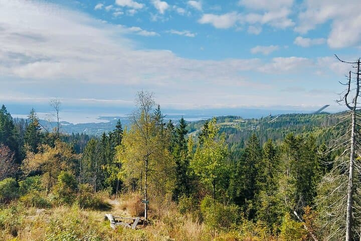Oslo Forest Hike to Vettakollen: Fjord Views & Bonfire Waffle Experience photo 2