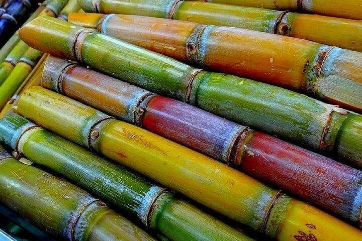 Taste of Grenada: Rum Hopping & Lunch—St. George’s Distillery & Cocoa Tour photo 2