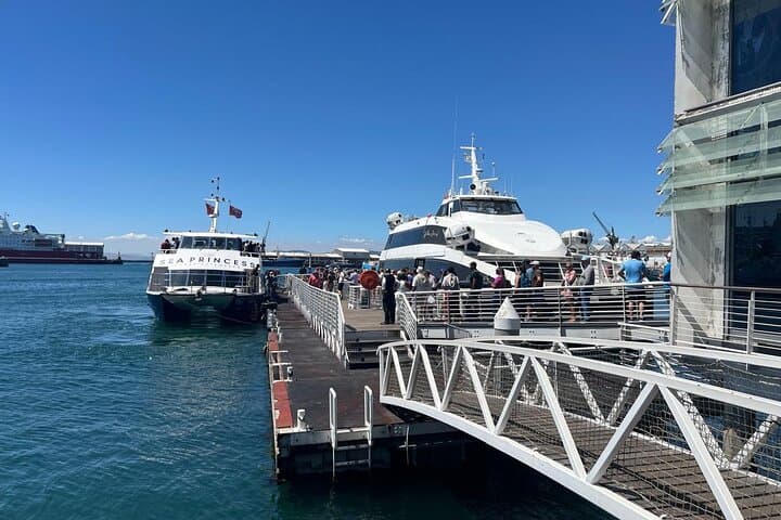 Robben Island Half-Day Tour — Mandela’s Prison, Table Bay Views & Island Wildlife photo 3