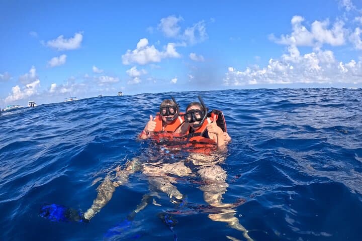 Private Whale Shark Snorkel Adventure — Isla Mujeres & Cancun (May–Sept) photo 3