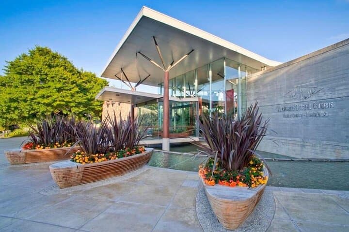 Private Auckland Full-Day Tour: Mount Eden, Museum & Coastal Views