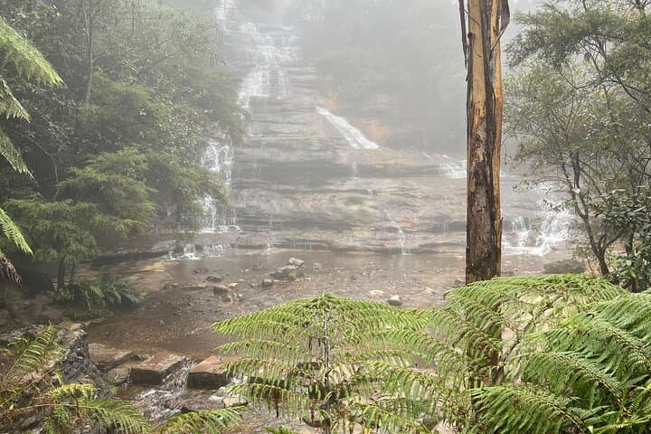 Blue Mountains private group day tour from Sydney: Three Sisters, waterfalls & local honey tasting photo 2