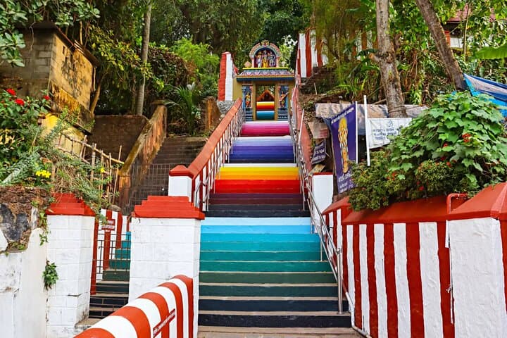 9 Day Kerala Private Tour Hills Houseboats Backwaters photo 2