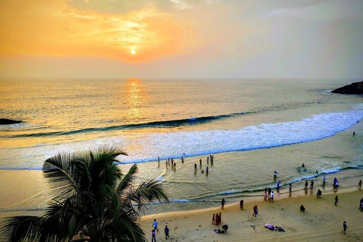 9 Day Kerala Private Tour Hills Houseboats Backwaters photo 4