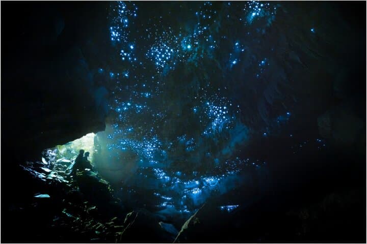Private After-Dark Waitomo Glowworm Tour — Ultimate Tailored Experience