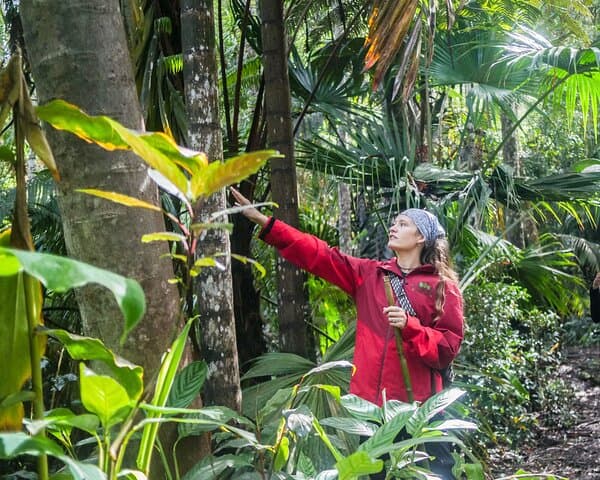 Exploring Kona's Cloud Forest Sanctuary: A Pantropical Walking Tour photo 2
