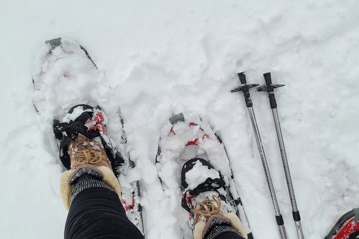 Snowshoe Adventure: Frozen Falls and Firelight Tour — Yukon Winter Day Trip