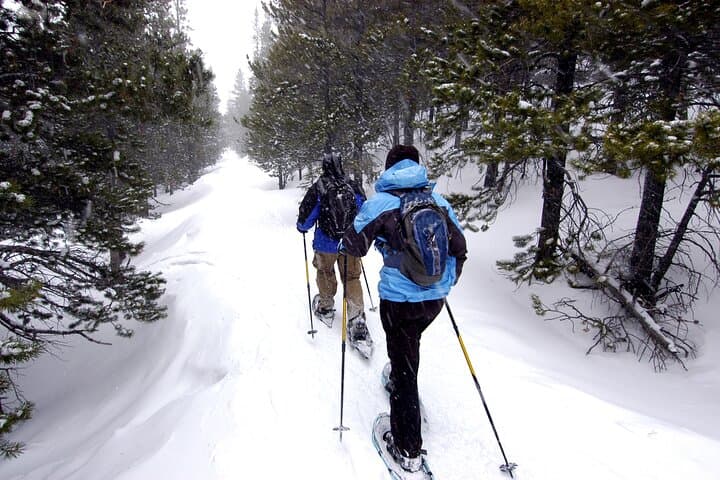 Snowshoe Adventure: Frozen Falls and Firelight Tour — Yukon Winter Day Trip photo 2