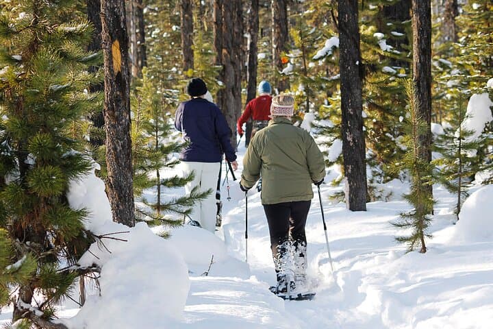 Snowshoe Adventure: Frozen Falls and Firelight Tour — Yukon Winter Day Trip photo 6