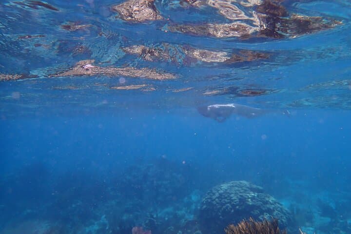 Private Stingray City & Starfish Point Tour — Grand Cayman Boat Excursion with Snacks photo 2