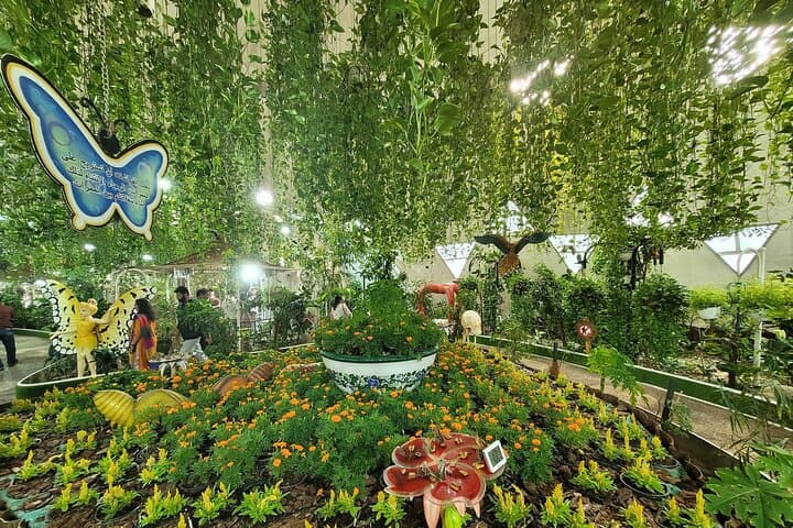 Inside Dubai Butterfly Garden: Explore 15,000 Butterflies in 10 Climate-Controlled Domes photo 3