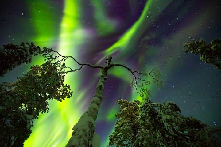 Rovaniemi Northern Lights Hunt & Photography Experience