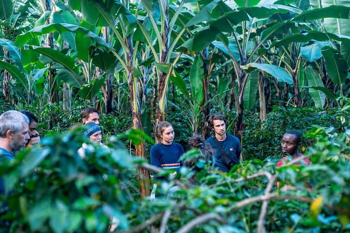 Arusha Banana Bliss: Coffee, Medicinal Herbs & Hidden Waterfall Tour photo 5