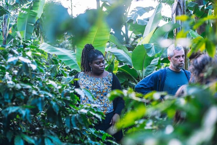 Arusha Banana Bliss: Coffee, Medicinal Herbs & Hidden Waterfall Tour photo 6