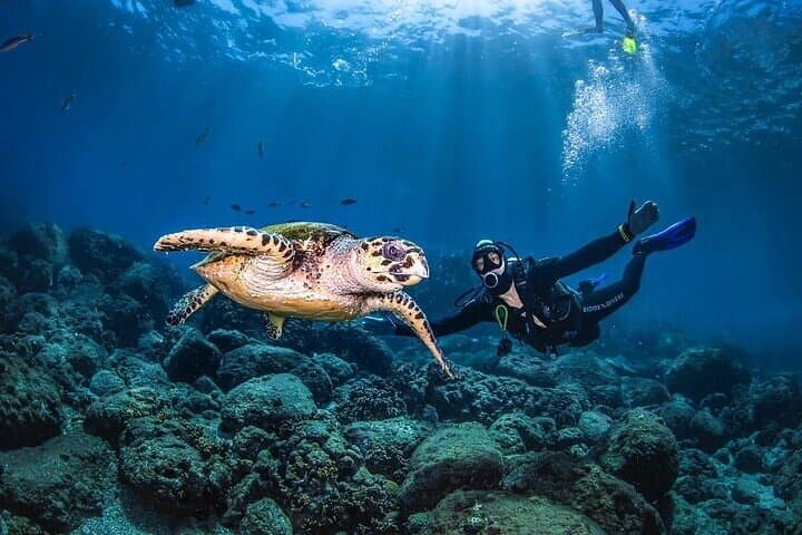 Advanced Open Water Diving Course in Sharm El Sheikh — 2-Day Red Sea Certification
