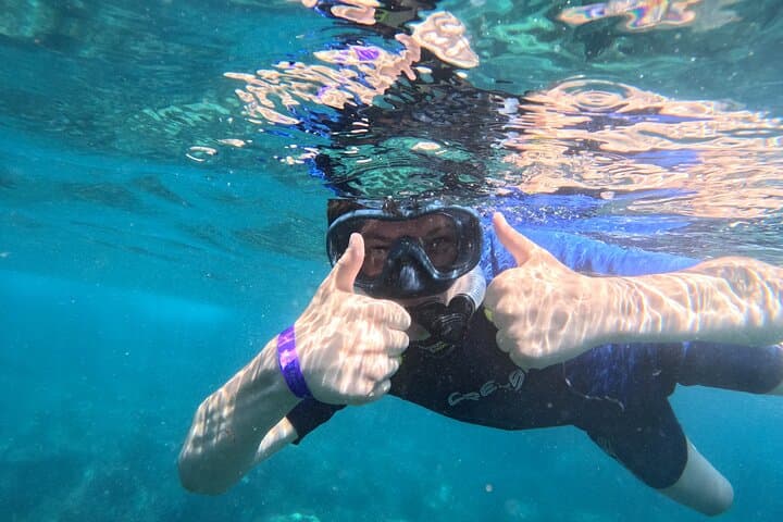Snorkel with Turtles Off Tenerife: A Boat Adventure from Los Cristianos photo 4