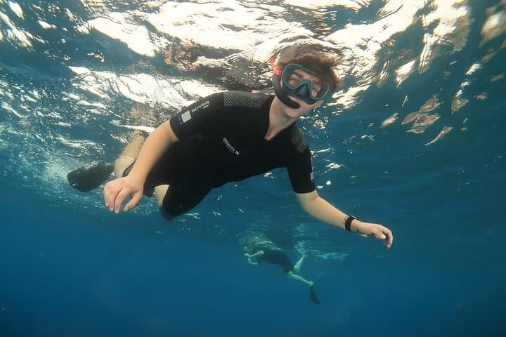 Snorkel with Turtles Off Tenerife: A Boat Adventure from Los Cristianos photo 6