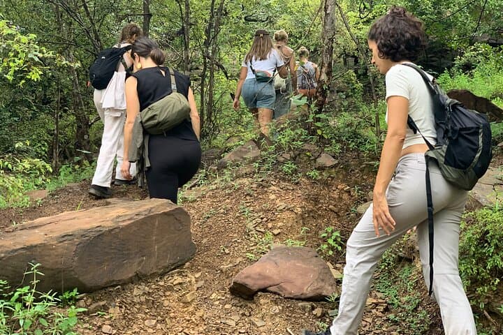 4-Day Ghana Wildlife Safari — Mole National Park, Wechiau Hippos & Tamale Culture