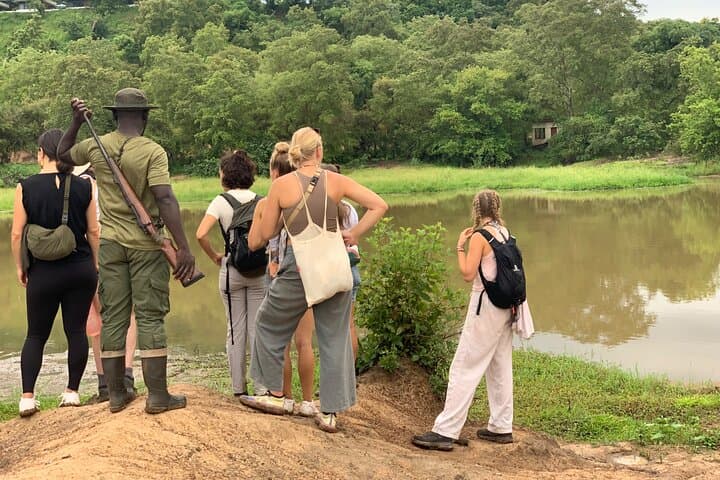 4-Day Ghana Wildlife Safari — Mole National Park, Wechiau Hippos & Tamale Culture photo 2