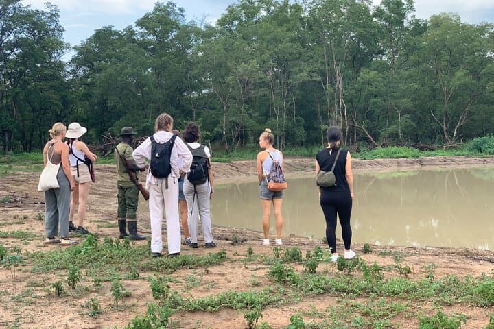 4-Day Ghana Wildlife Safari — Mole National Park, Wechiau Hippos & Tamale Culture photo 3