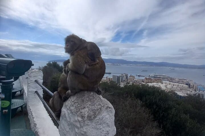 Private Gibraltar Rock Tour: Monkeys, Caves & Skywalk from Cádiz