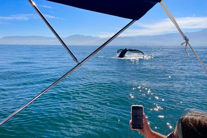 Whale Watching and Los Arcos: Puerto Vallarta 5-Island Boat Adventure photo 2