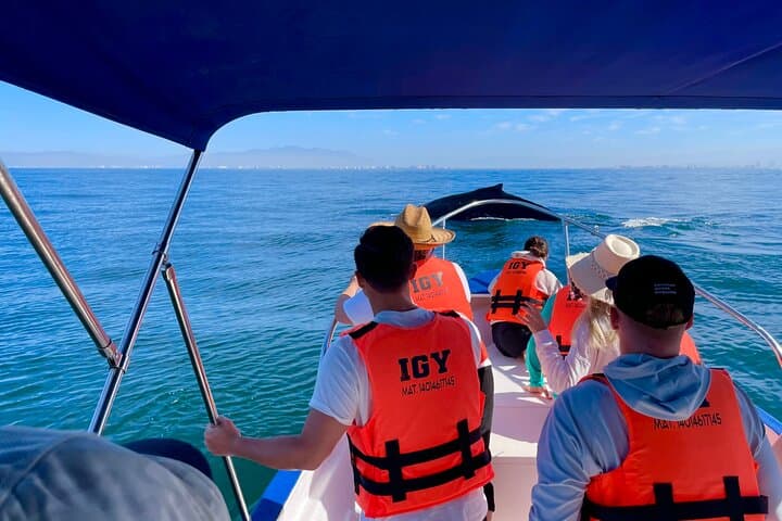 Whale Watching and Los Arcos: Puerto Vallarta 5-Island Boat Adventure photo 3