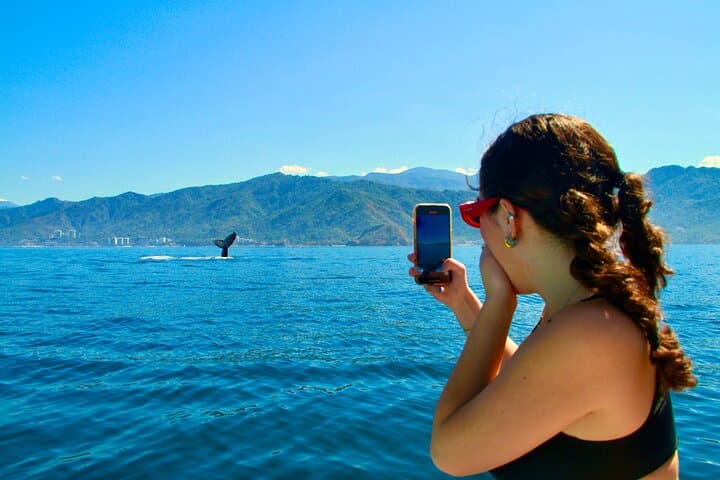 Whale Watching and Los Arcos: Puerto Vallarta 5-Island Boat Adventure
