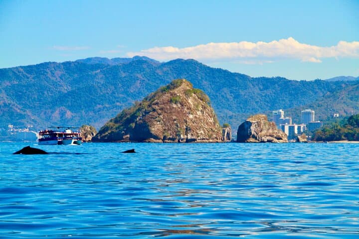 Whale Watching and Los Arcos: Puerto Vallarta 5-Island Boat Adventure photo 4
