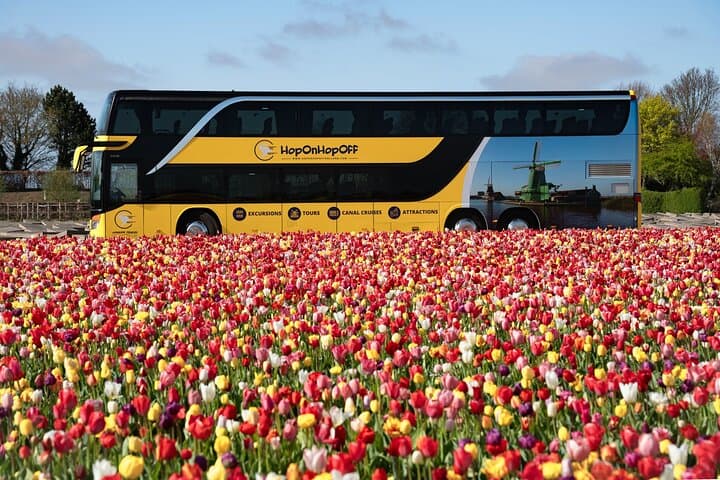Keukenhof Shuttle from Amsterdam: Fast-Track Entry & Flexible Return photo 3