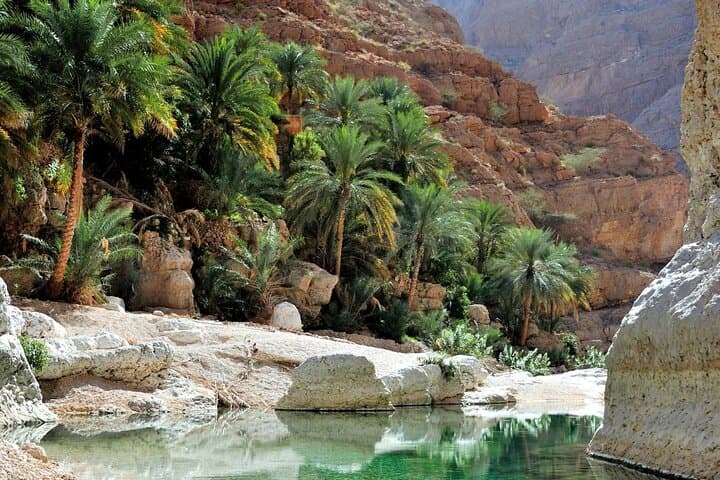 Full-Day Wadi Bani Khalid and Wahiba Sands Adventure from Muscat photo 4