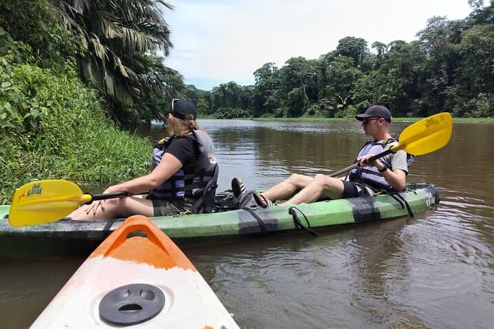 Paddle the Tortuguero Canals: Kayak Wildlife Tour in Costa Rica photo 3