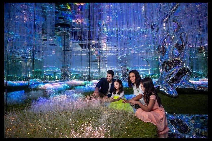 Full-Day Dubai Multi-Attraction Tour: Aya Universe, Dubai Frame, Miracle Garden & Global Village photo 1