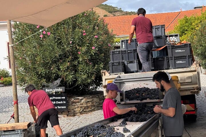 Private Douro 4x4 Adventure: Wine Tasting, Riverside Lunch & Pinhão Boat Tour photo 3