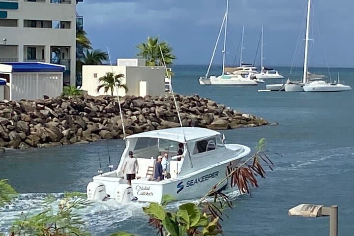 Sint Maarten Fishing on a Bertram 35: Mahi, Wahoo & Tuna photo 3