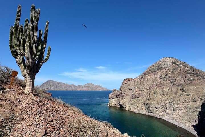 Island Hike & Snorkel: South Carmen and Danzante Adventure in Bahía de Loreto photo 4