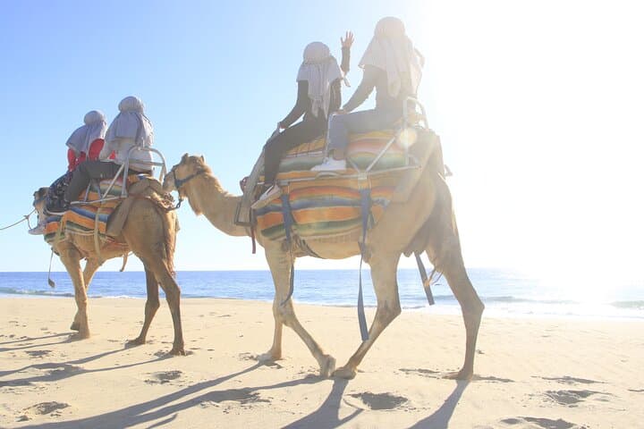 ATV and Camel Ride Combo in Los Cabos — Desert Trails to Pacific Beaches photo 3