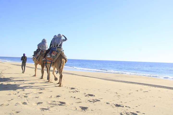 ATV and Camel Ride Combo in Los Cabos — Desert Trails to Pacific Beaches photo 5