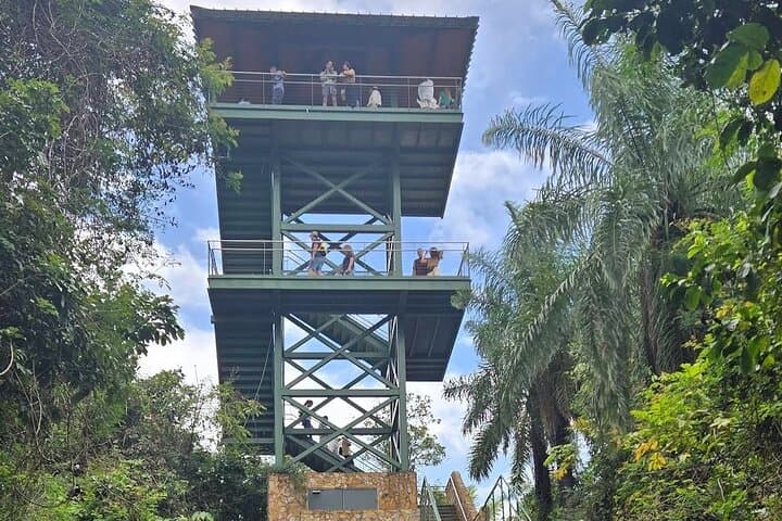 La Marquesa Cable Car & Bird Sanctuary Tour from San Juan photo 4