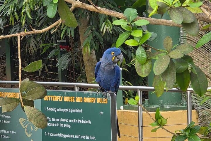 La Marquesa Cable Car & Bird Sanctuary Tour from San Juan photo 5