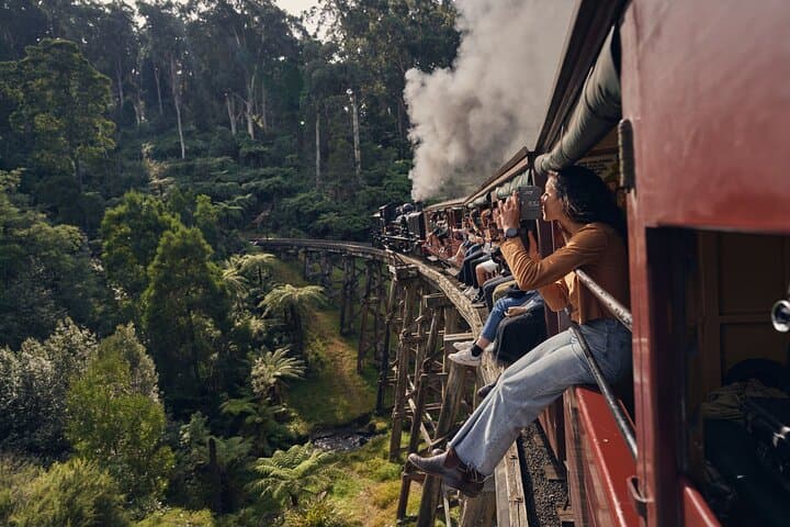 Puffing Billy to Penguin Parade: Dandenong Ranges and Phillip Island Day Tour photo 3