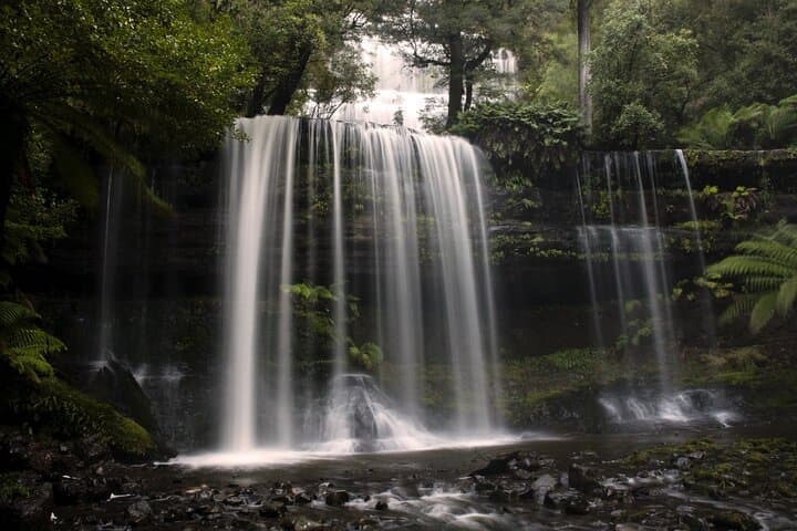 Hobart Waterfalls, Wilderness & Wildlife Day Tour — Mt Field to kunanyi photo 2