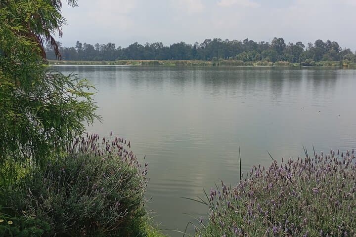 Private Xochimilco Trajinera Ride with Mariachi, Food & History photo 3