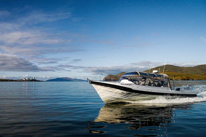 Valentia Island Boat Tour: 1.5-Hour Wild Atlantic Way Cruise from Valentia Harbour