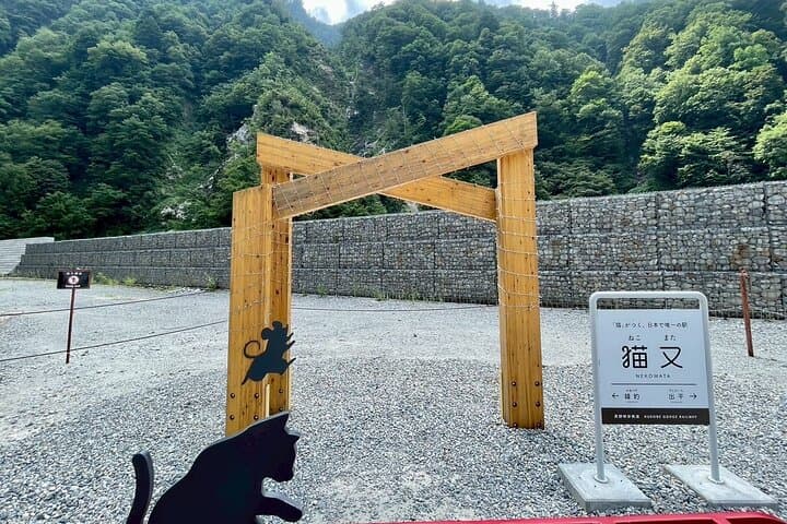 Kurobe Gorge Railway Private Tour: Nekomata Station & Unazuki Onsen Experience photo 6