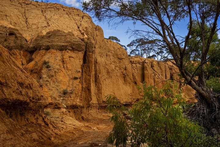 Clare Valley to Red Banks: Day Tour of Gorges, Historic Sites & Megafauna Trails photo 2