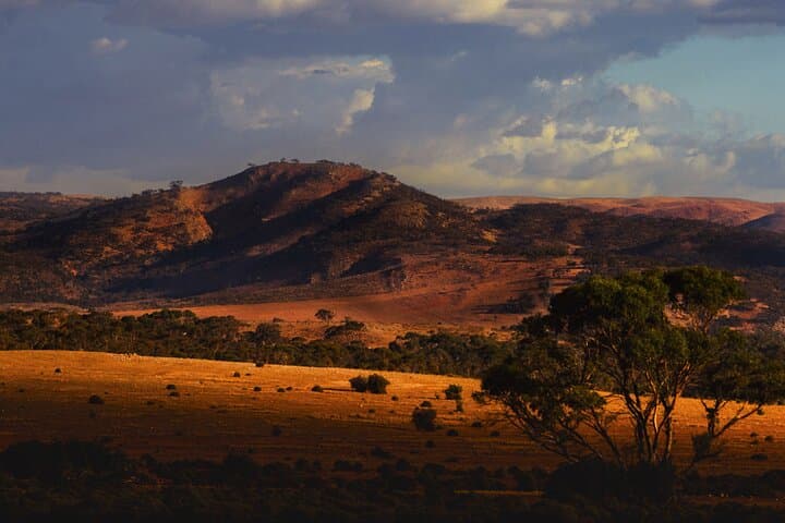 Clare Valley to Red Banks: Day Tour of Gorges, Historic Sites & Megafauna Trails