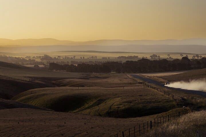 Clare Valley to Red Banks: Day Tour of Gorges, Historic Sites & Megafauna Trails photo 4