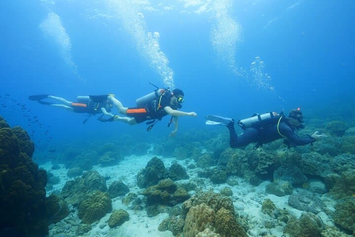 Koh Chang 3-Dive Trip: HTMS Chang Wreck & Koh Rang Coral Reefs